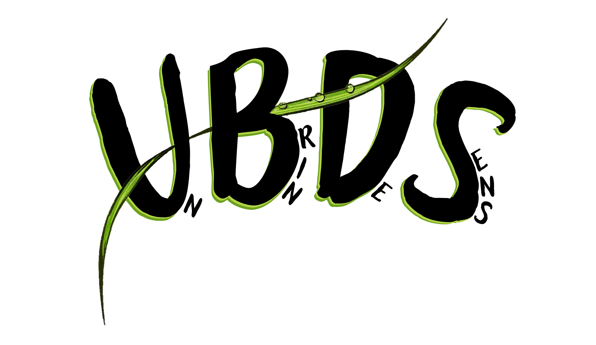 Logo UBDS